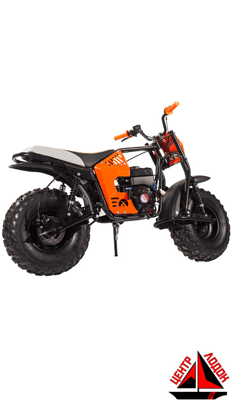 Мотовездеход Draxter Profi