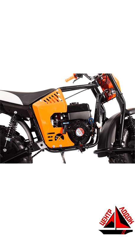 Мотовездеход Draxter Profi